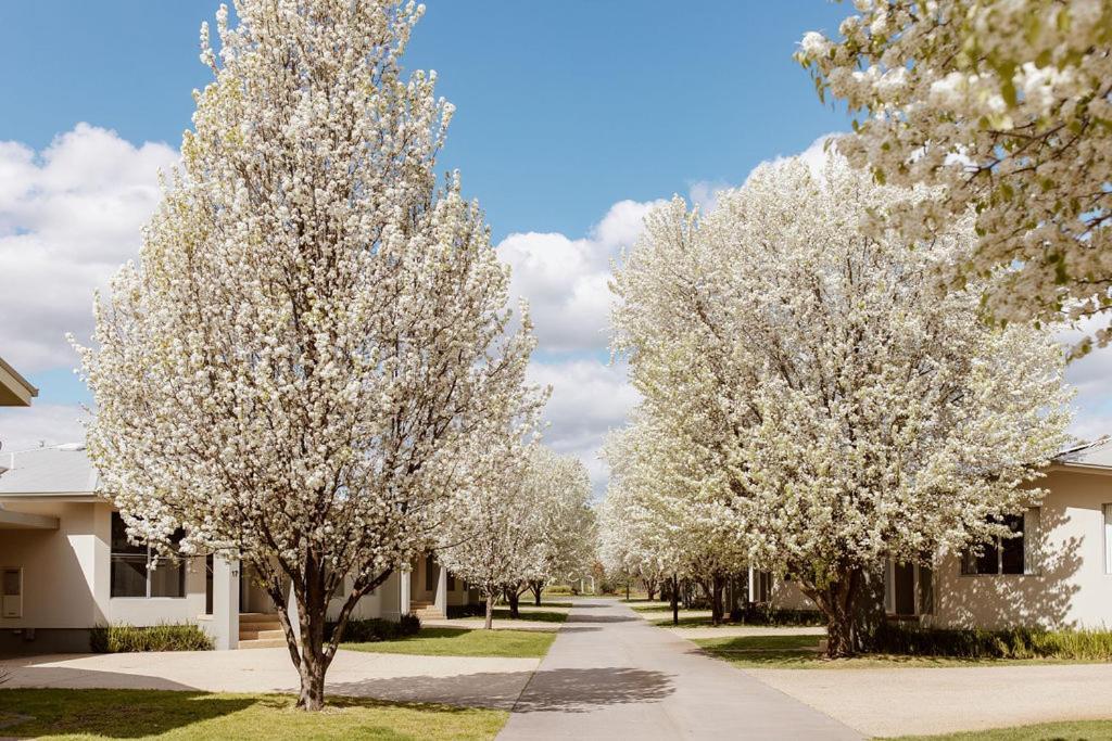Tindarra Resort Moama Eksteriør bilde